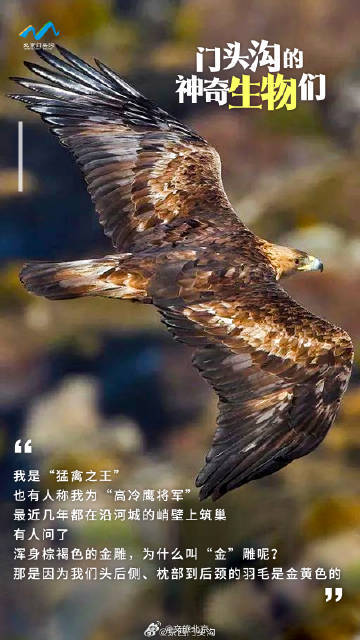 国际生物多样性日 门头沟的神奇生物在哪里？