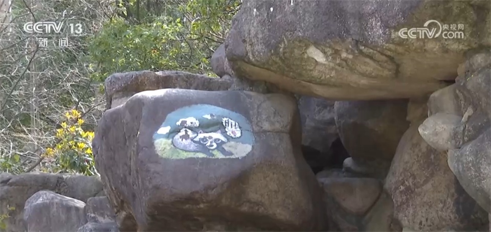 当野生动物“进城”与人类成为“新邻居” 如何做到和谐共生？