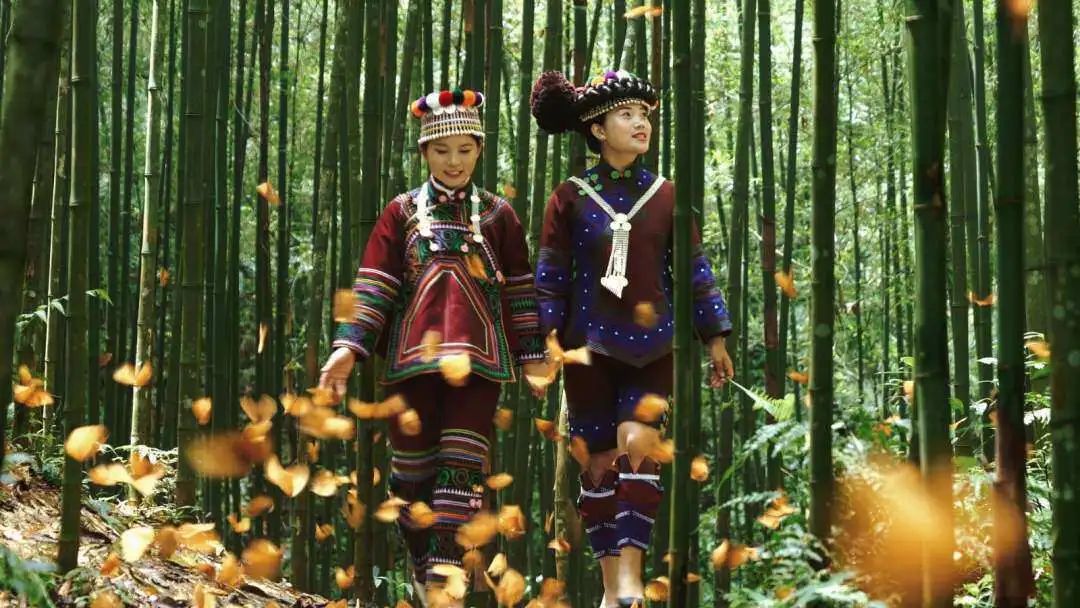 重生之我在云南当“神兽”