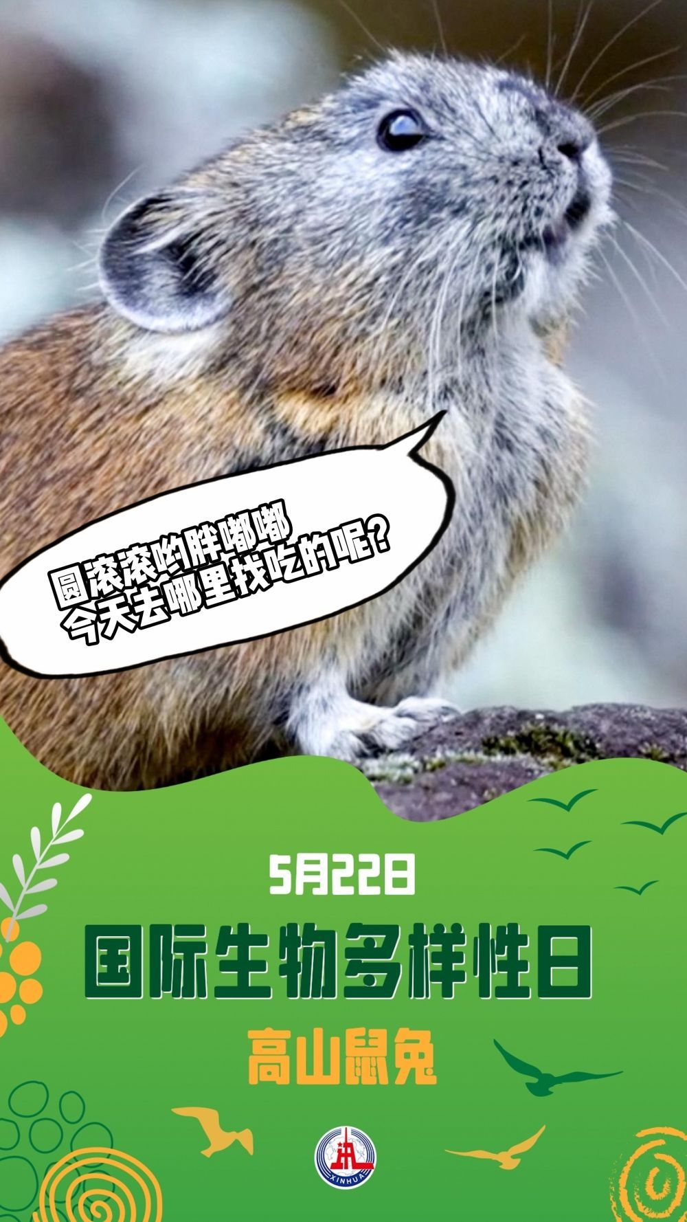 请注意！前方有“萌兽”出没……