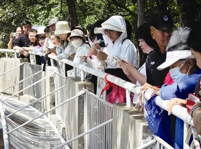 天津动物园,又添喜事! 天津动物园,又添喜事!