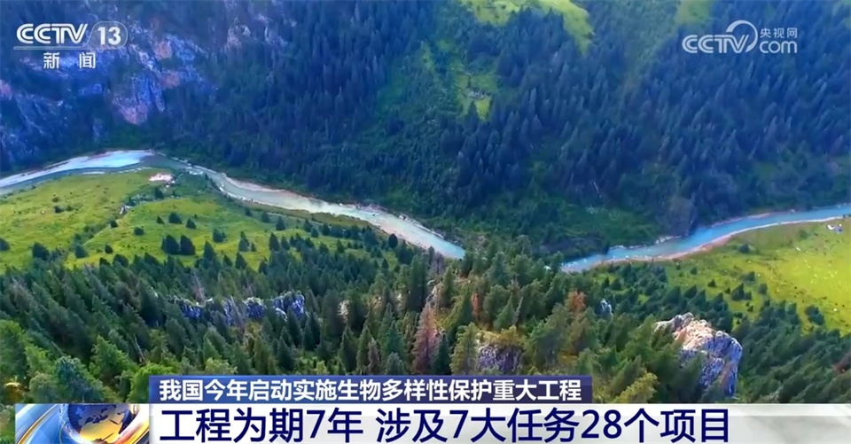 不断擦亮高质量发展“底色” 我国生态系统格局整体稳定并不断优化