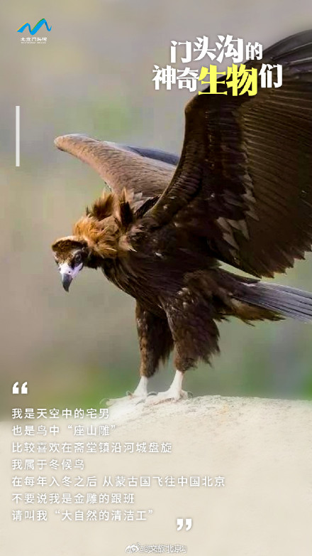 国际生物多样性日 门头沟的神奇生物在哪里？