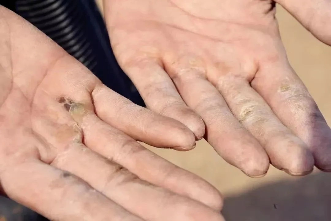 24岁提干!特战女排长再立新功! 24岁提干!特战女排长再立新功!