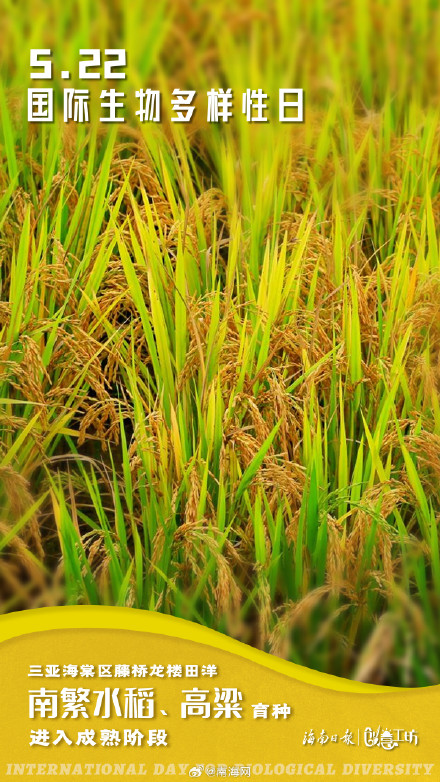 在国际生物多样性日，一起探秘生命的色彩