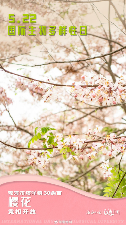 在国际生物多样性日，一起探秘生命的色彩