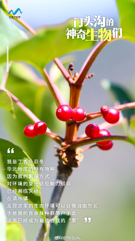 国际生物多样性日 门头沟的神奇生物在哪里？