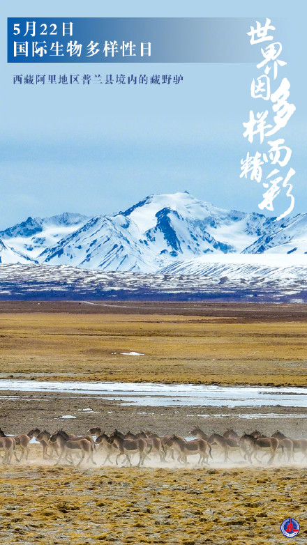 5月22日是国际生物多样性日 5月22日是国际生物多样性日