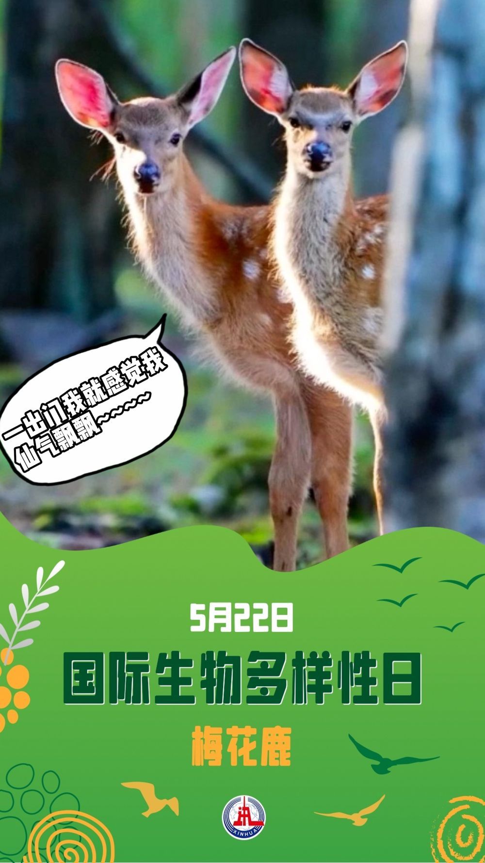 请注意！前方有“萌兽”出没……