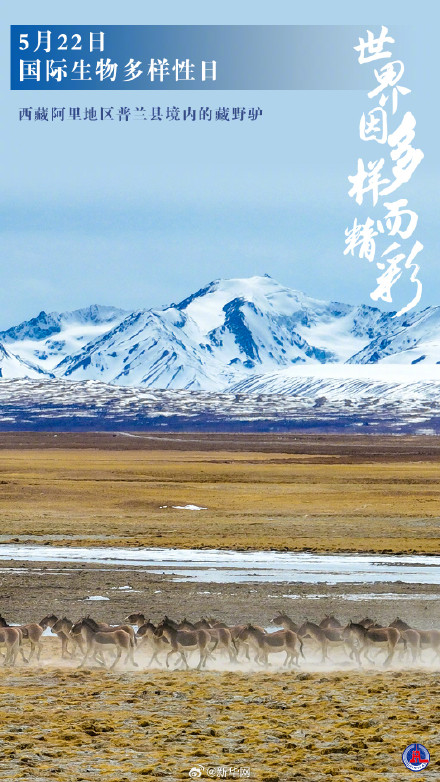 国际生物多样性日丨世界因多样而精彩