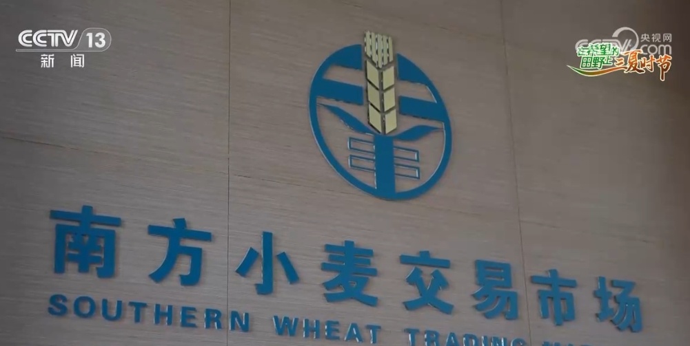 “鱼米之乡”近3600万亩小麦丰收在望 “多管齐下”确保颗粒归仓