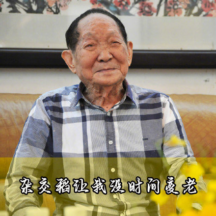 缅怀！袁老的这些瞬间让人动容