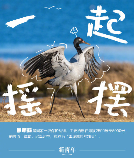 收藏!野生动植物界戏精表情包 收藏!野生动植物界戏精表情包