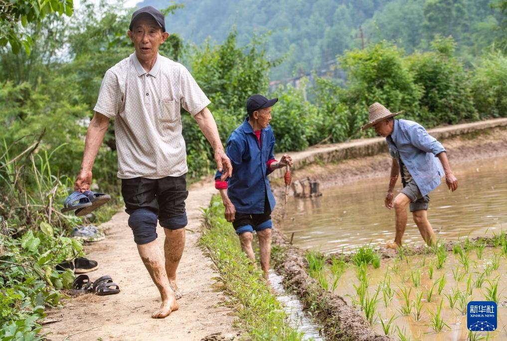 镜观·非遗丨酉阳阳戏艺人:一手耕田一手戏 镜观·非遗丨酉阳阳戏艺人:一手耕田一手戏