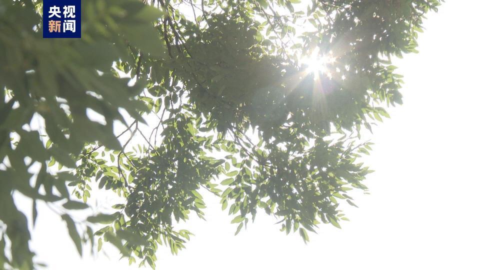 高温破纪录,宁夏5月以来平均气温为1961年以来同期最高 高温破纪录,宁夏5月以来平均气温为1961年以来同期最高