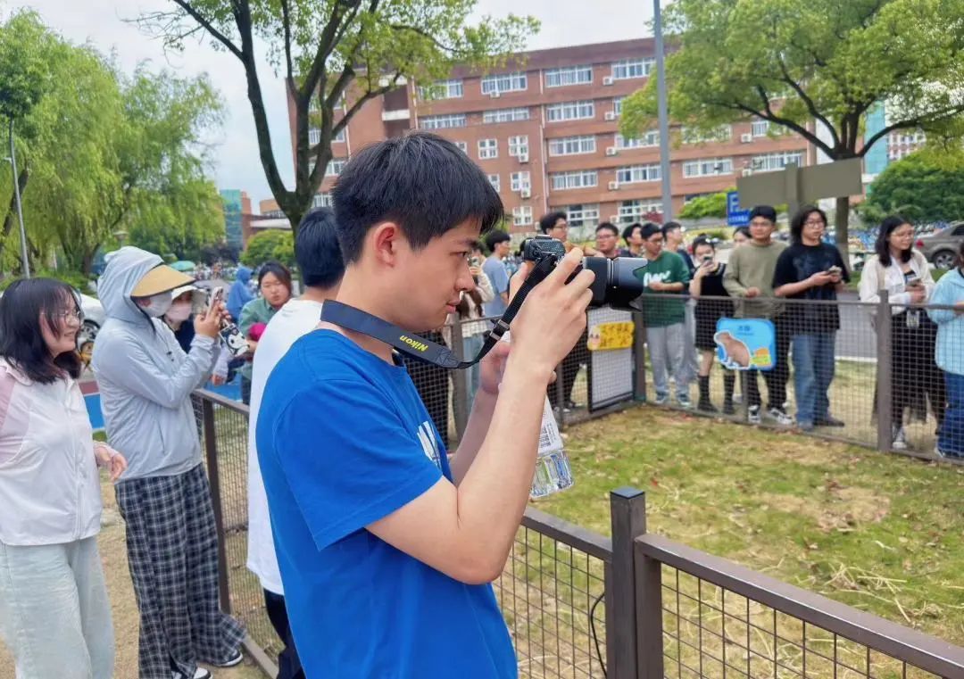 宁波一所高校秒变“动物园”!羊驼、袋鼠、卡皮巴拉都来了! 宁波一所高校秒变“动物园”!羊驼、袋鼠、卡皮巴拉都来了!