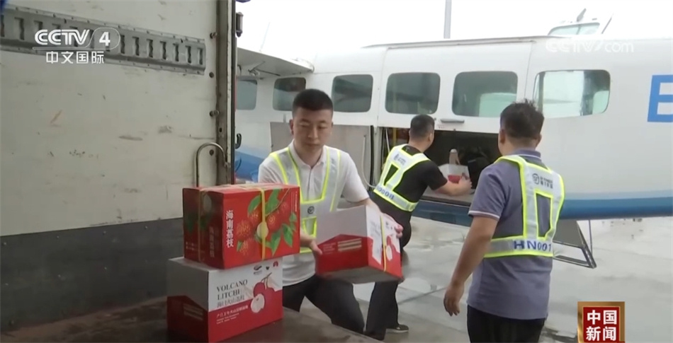 底盘稳、动力足、韧性强 中国高质量发展“新新”向荣呈现万千气象