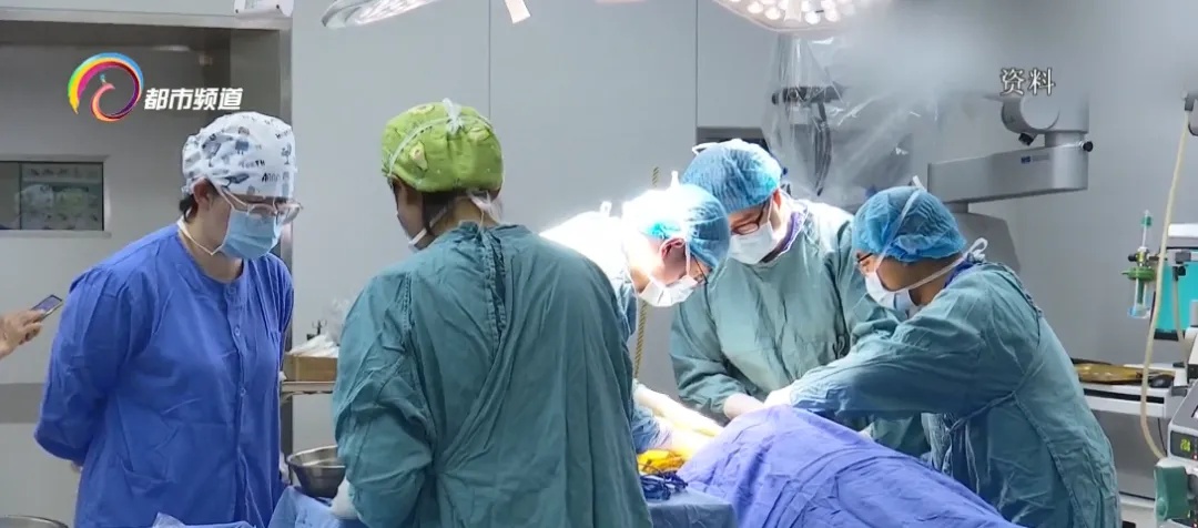 全球首例!猪-人肝肾联合异种移植,就在昆明完成 全球首例!猪-人肝肾联合异种移植,就在昆明完成