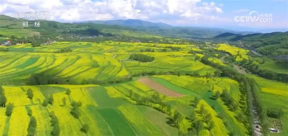 底盘稳、动力足、韧性强 中国高质量发展“新新”向荣呈现万千气象