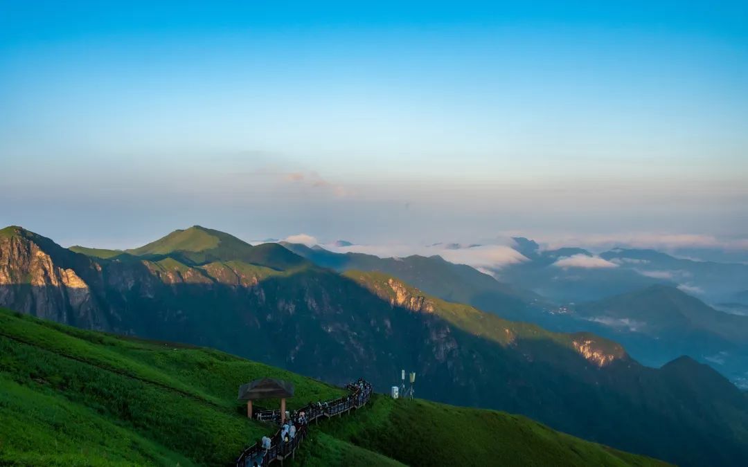 官方证实!她确认身亡 官方证实!她确认身亡