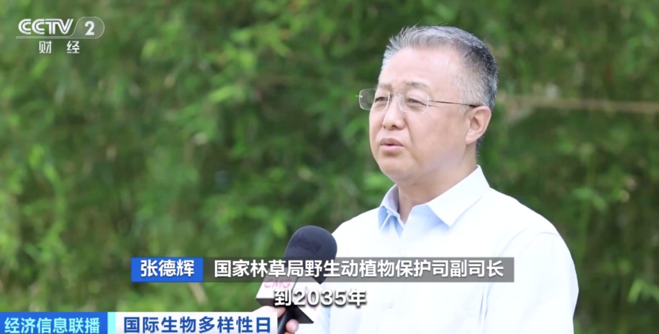 大熊猫野外种群总量近1900只！我国生物多样性保护成效显著