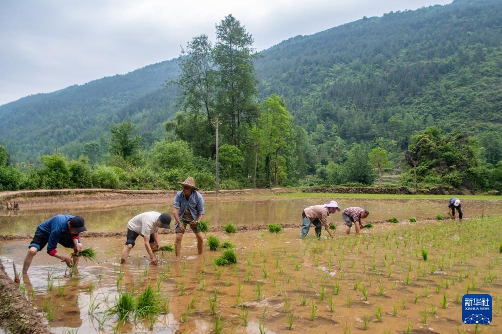 镜观·非遗丨酉阳阳戏艺人:一手耕田一手戏 镜观·非遗丨酉阳阳戏艺人:一手耕田一手戏