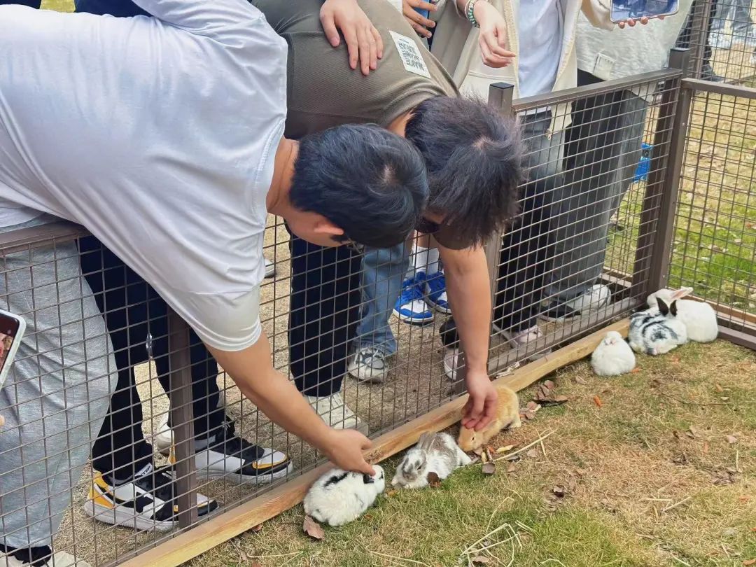 宁波一所高校秒变“动物园”!羊驼、袋鼠、卡皮巴拉都来了! 宁波一所高校秒变“动物园”!羊驼、袋鼠、卡皮巴拉都来了!