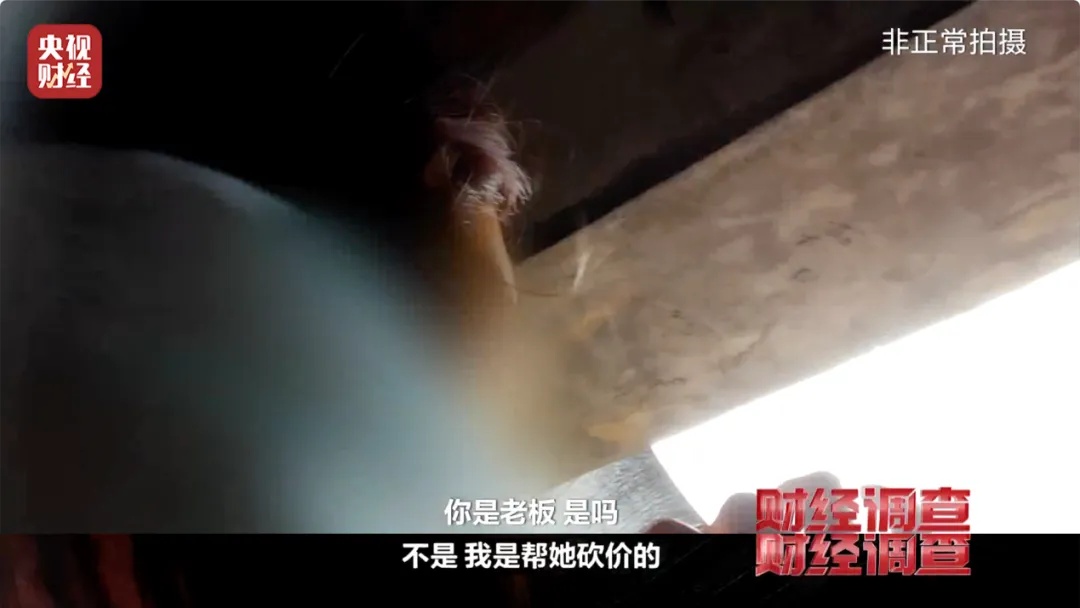 直播间买的宠物，到家只能活7天？记者实地调查售卖乱象→