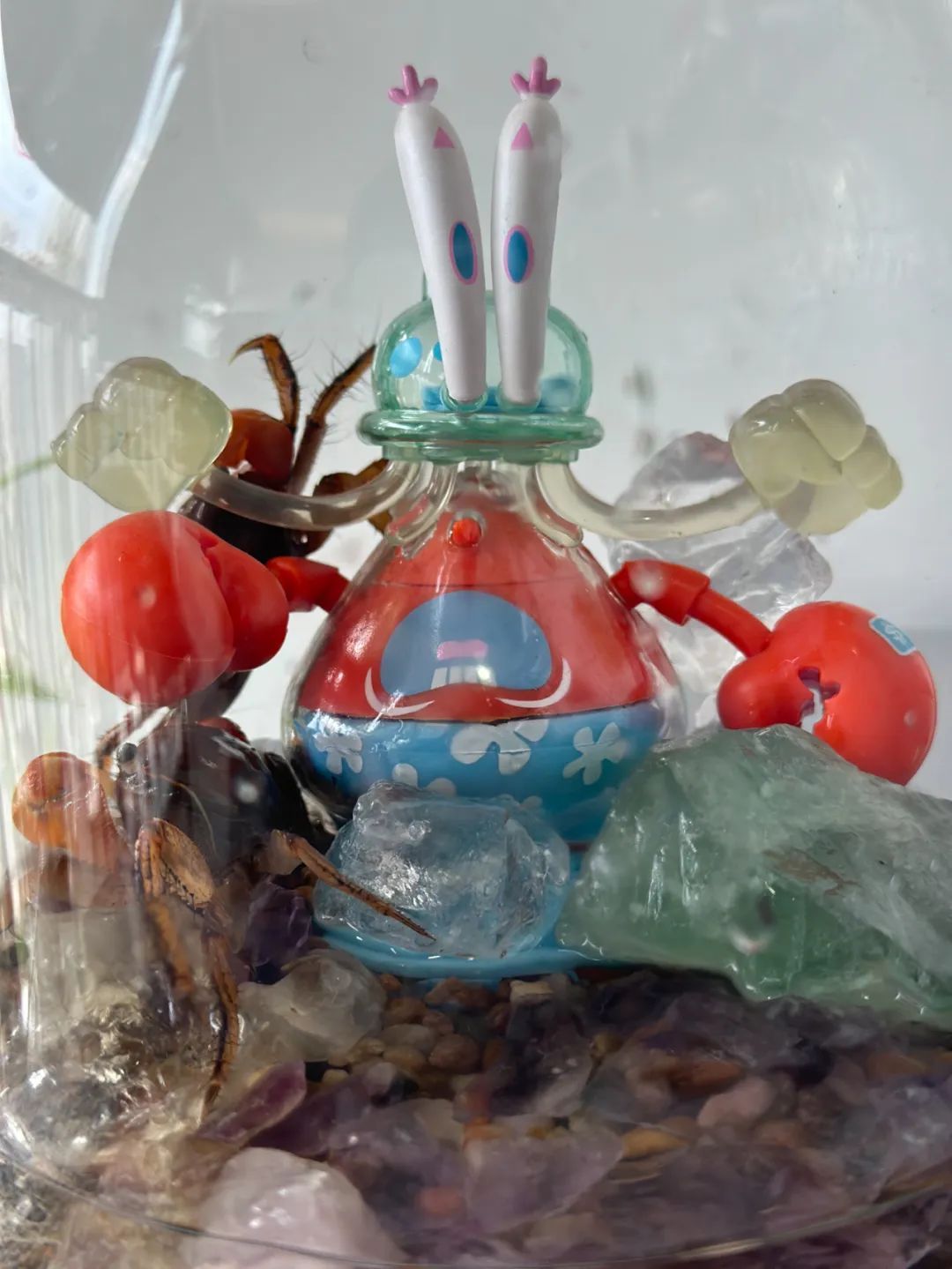 卖疯了！一只不到10元！杭州姑娘凌晨3点还在抢