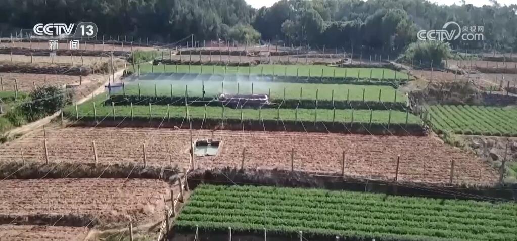 “种全国、卖全球” 小萝卜“变身”致富大产业 擦亮中国特色农业品牌 “种全国、卖全球” 小萝卜“变身”致富大产业 擦亮中国特色农业品牌