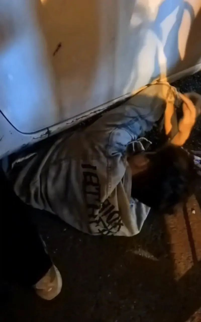 就在长沙街头!二十多名路人救下一条命 就在长沙街头!二十多名路人救下一条命