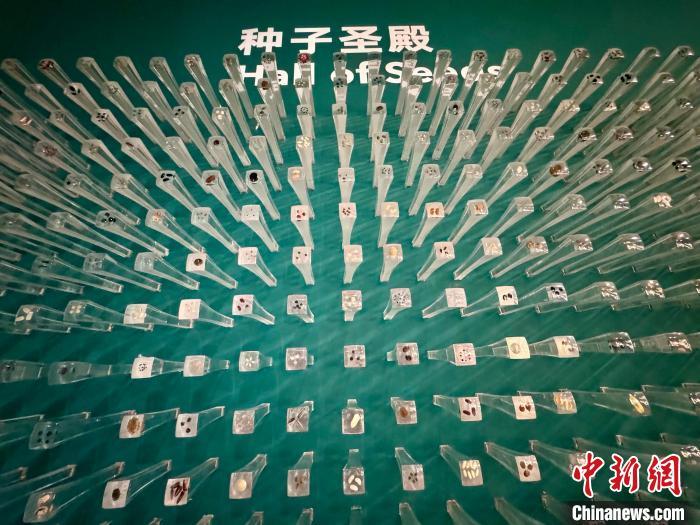 《中国生物物种名录2024版》发布 共收录物种及种下单元超15万个 《中国生物物种名录2024版》发布 共收录物种及种下单元超15万个