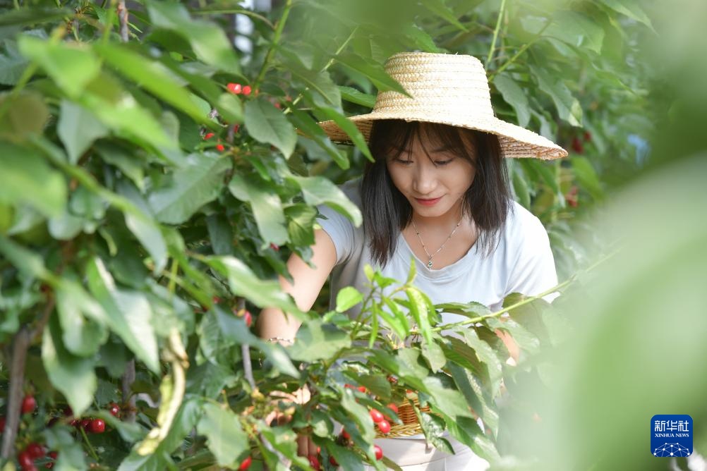 山东日照:休闲农业园成为近郊游“打卡地” 山东日照:休闲农业园成为近郊游“打卡地”