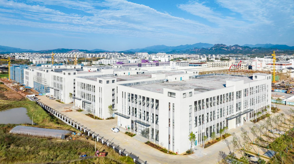 福建连城：育强百亿地瓜产业 践行大食物观