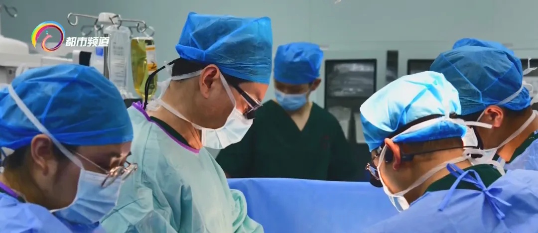 全球首例!猪-人肝肾联合异种移植,就在昆明完成 全球首例!猪-人肝肾联合异种移植,就在昆明完成