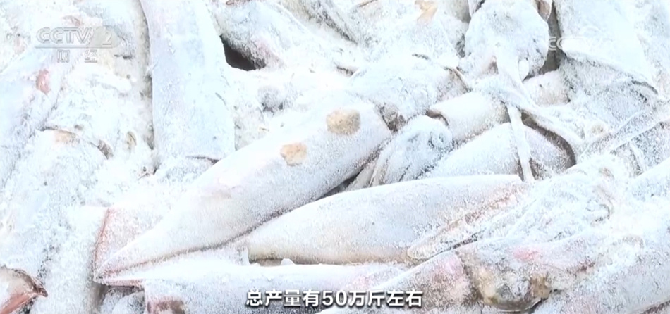 底盘稳、动力足、韧性强 中国高质量发展“新新”向荣呈现万千气象