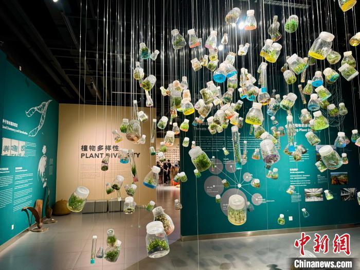 《中国生物物种名录2024版》发布 共收录物种及种下单元超15万个 《中国生物物种名录2024版》发布 共收录物种及种下单元超15万个