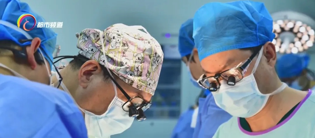 全球首例!猪-人肝肾联合异种移植,就在昆明完成 全球首例!猪-人肝肾联合异种移植,就在昆明完成