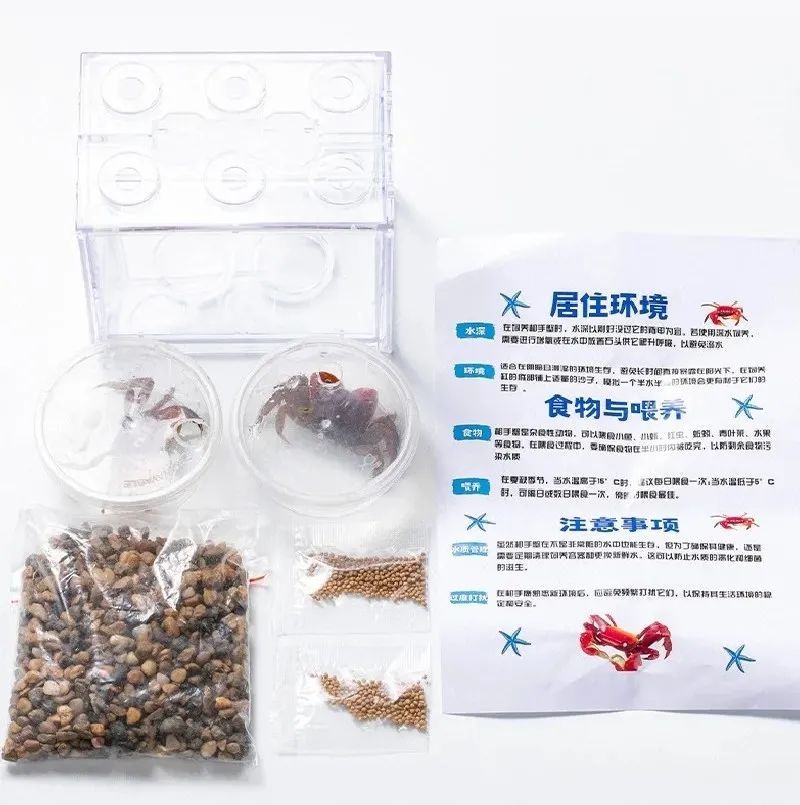 卖疯了！一只不到10元！杭州姑娘凌晨3点还在抢