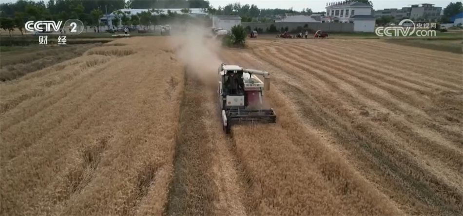 底盘稳、动力足、韧性强 中国高质量发展“新新”向荣呈现万千气象