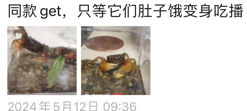 卖疯了！一只不到10元！杭州姑娘凌晨3点还在抢