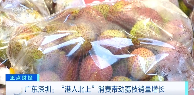 香港消费者到深圳“抢”荔枝!“妃子笑”大受欢迎 香港消费者到深圳“抢”荔枝!“妃子笑”大受欢迎