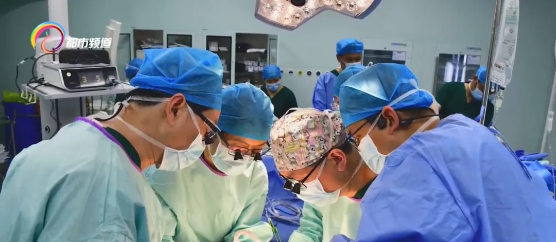 全球首例!猪-人肝肾联合异种移植,就在昆明完成 全球首例!猪-人肝肾联合异种移植,就在昆明完成