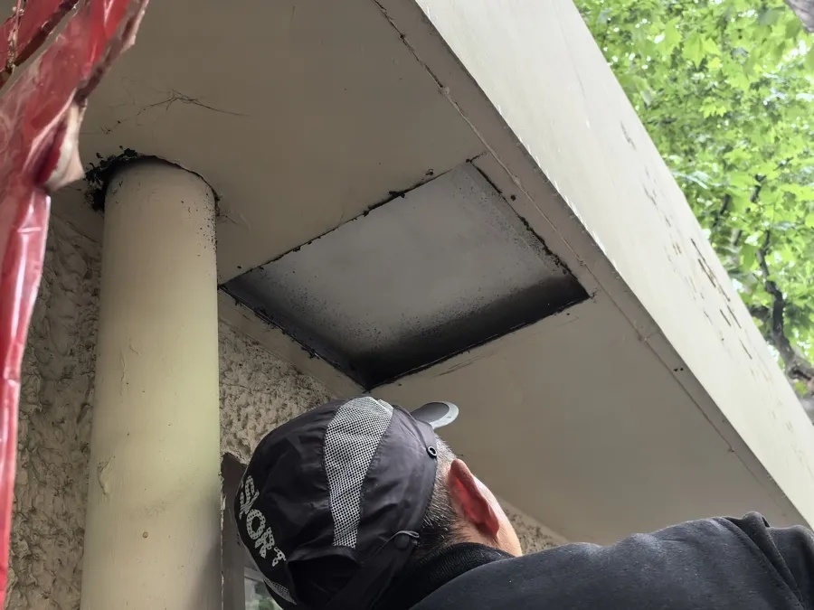 这家包子铺的店面招牌何时能办下来?最新进展→ 这家包子铺的店面招牌何时能办下来?最新进展→