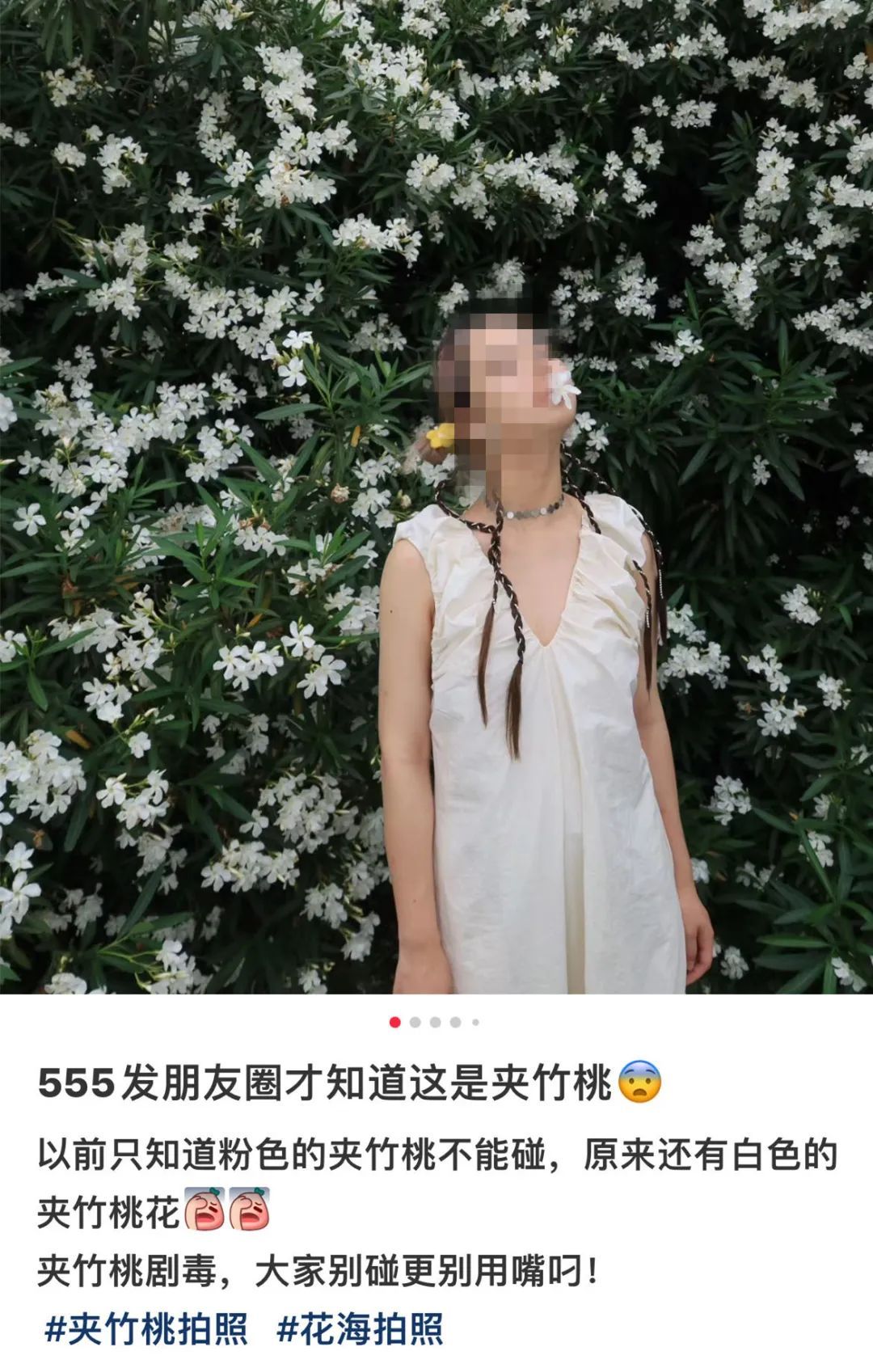 警惕：千万别碰！最近特显眼，毒性很大严重可致命