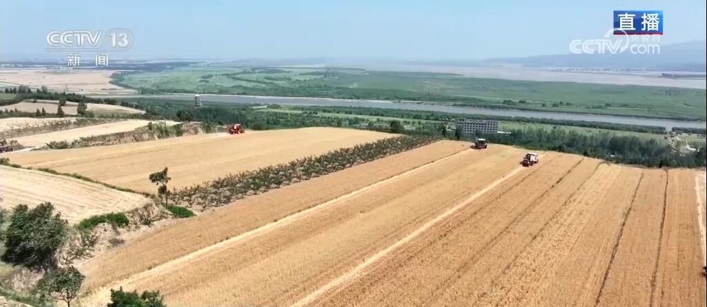 风吹麦浪勾勒丰收美景 智慧农业“神器”助力“三夏”麦收 风吹麦浪勾勒丰收美景 智慧农业“神器”助力“三夏”麦收