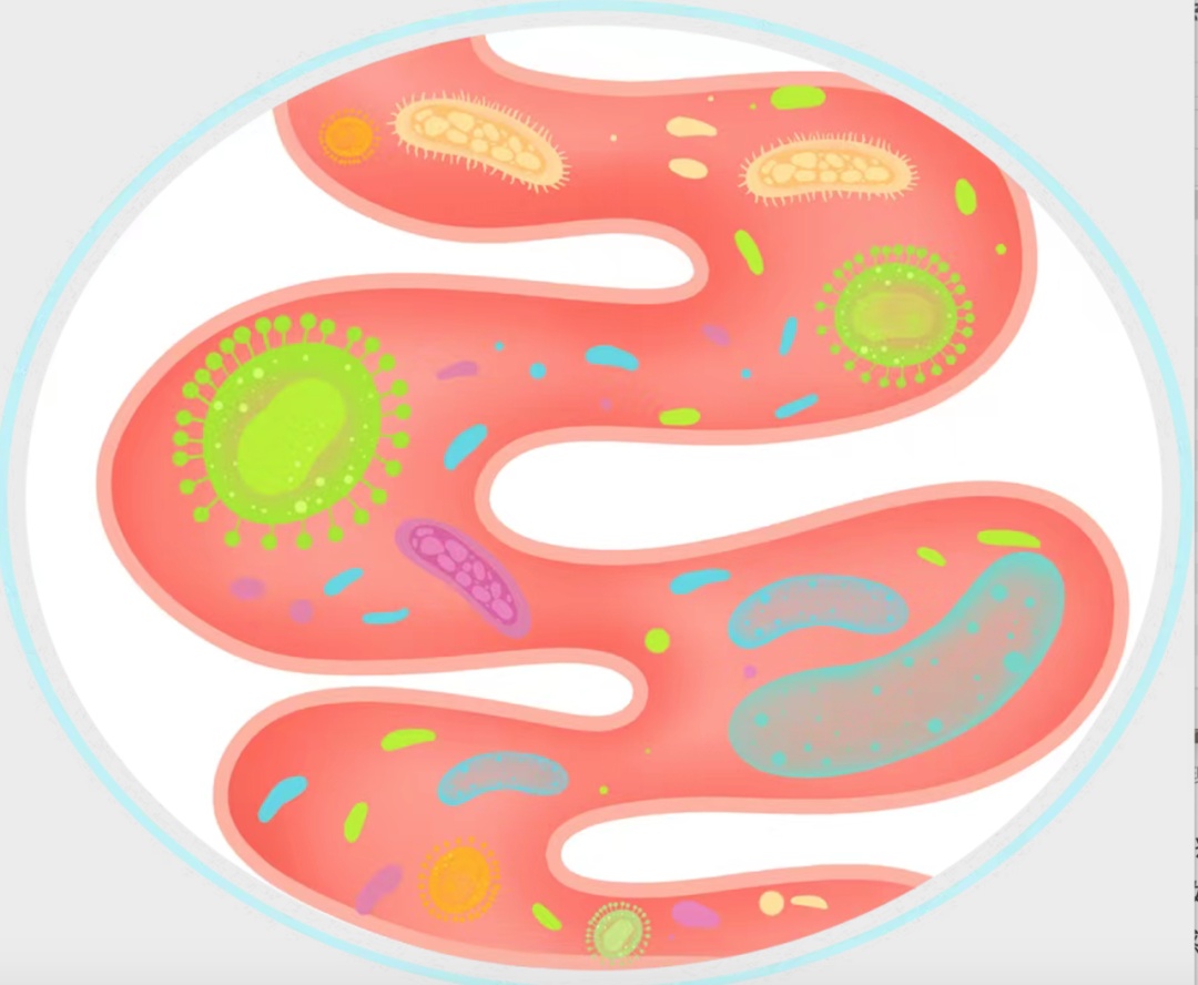 发烧、嗓子疼,警惕这两种疾病—— 发烧、嗓子疼,警惕这两种疾病——