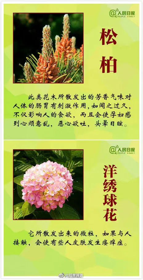 警惕！全株有毒！广东路边很常见！