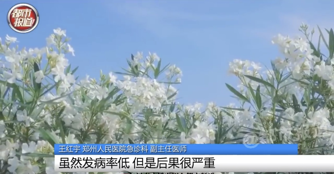 警惕！全株有毒！广东路边很常见！