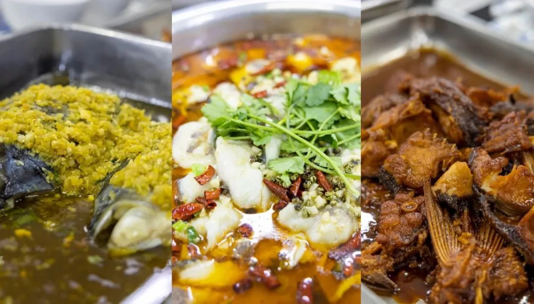 又见神仙"许愿池"！大学生馋树上樱桃，老师"豁出去"试吃，果然…